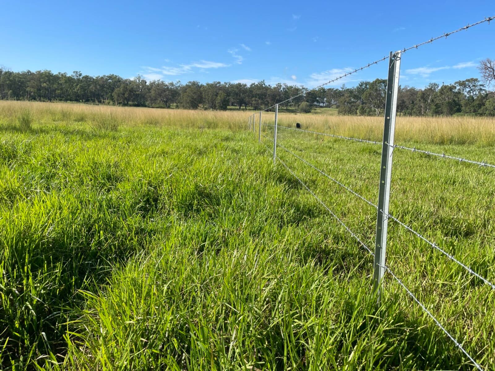 Lot 98 Biggenden Maryborough Road, Lakeside - Thumbnail 6