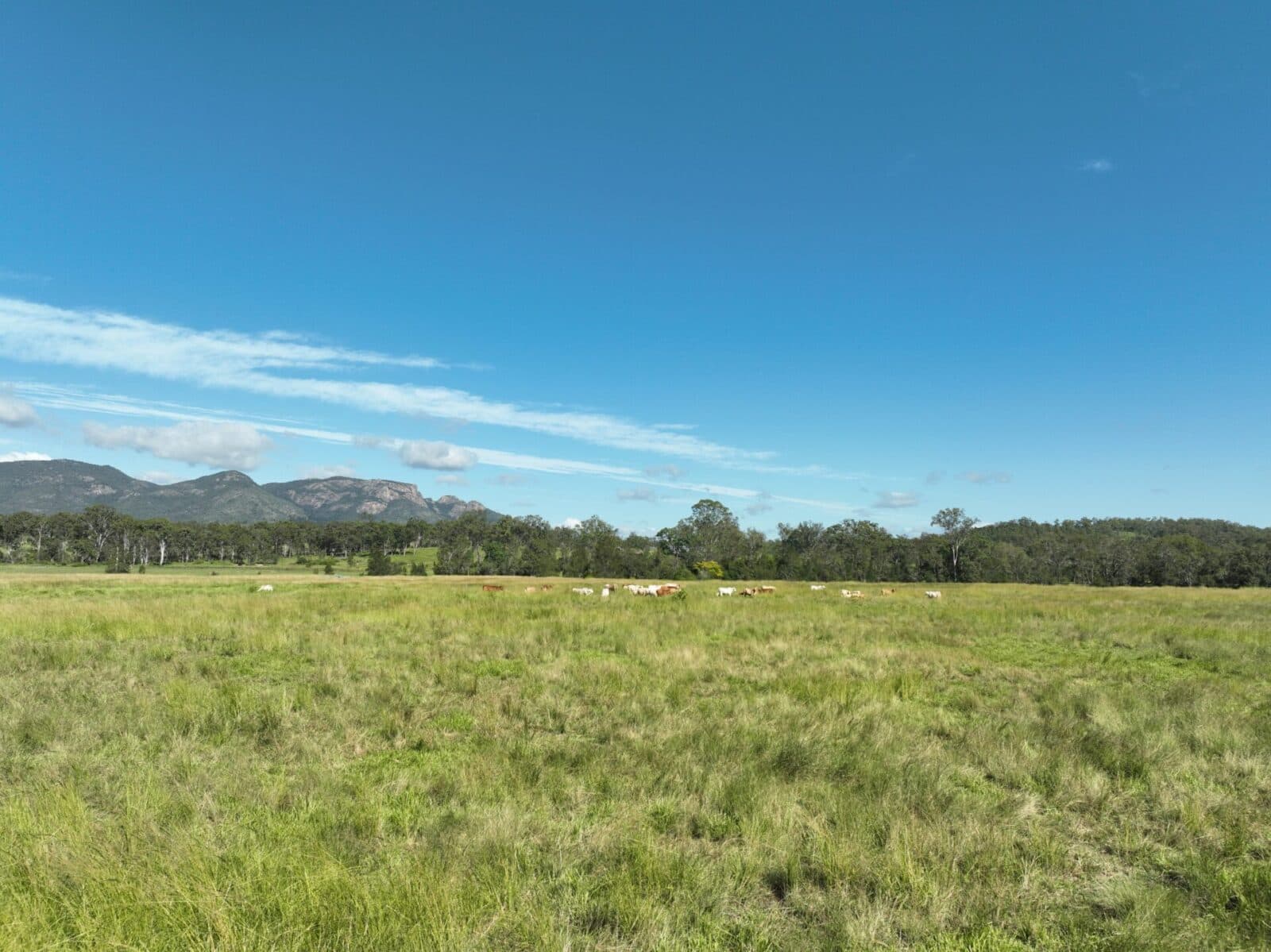 Lot 98 Biggenden Maryborough Road, Lakeside - Thumbnail 7