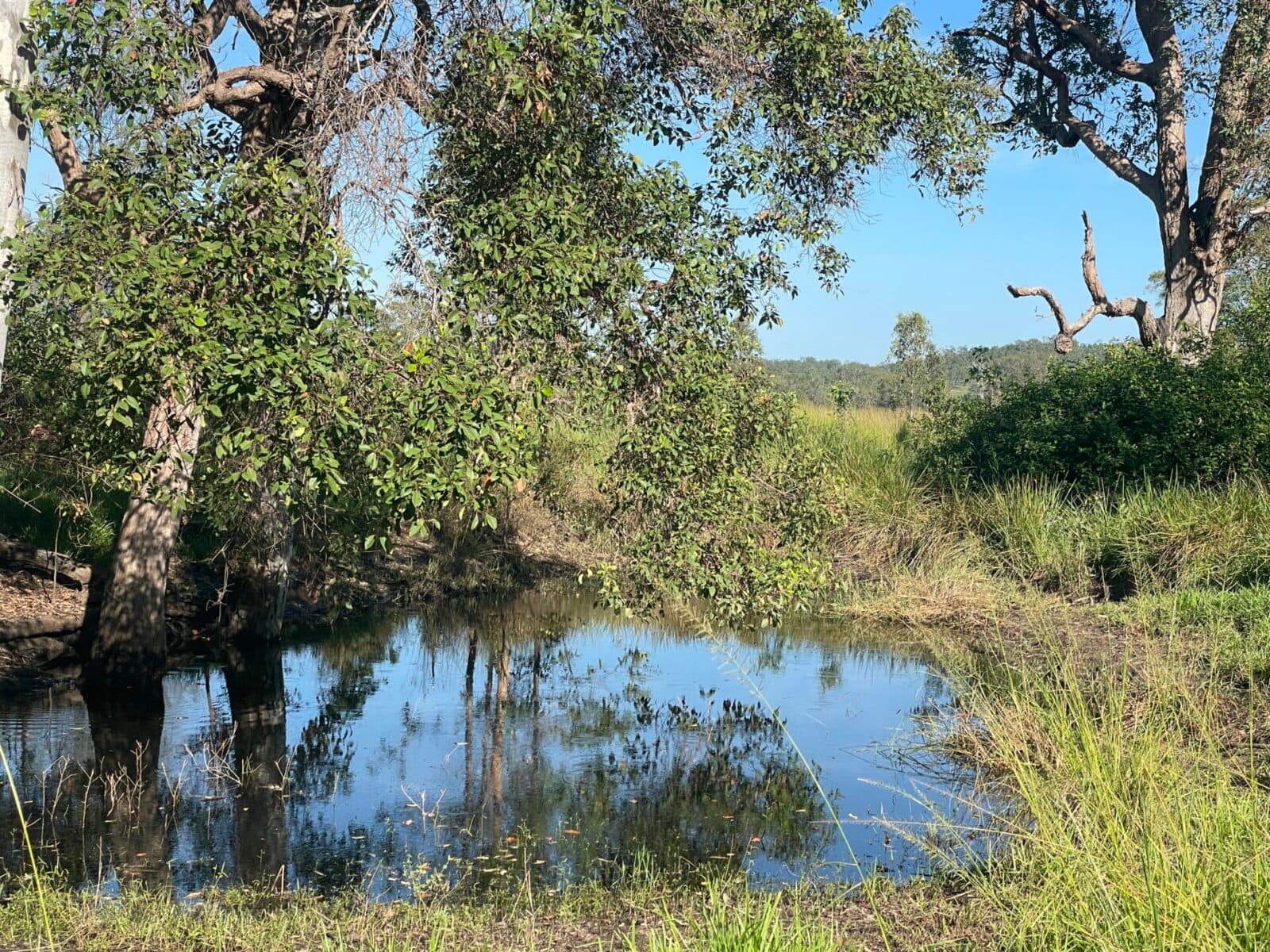 Lot 98 Biggenden Maryborough Road, Lakeside - Thumbnail 8