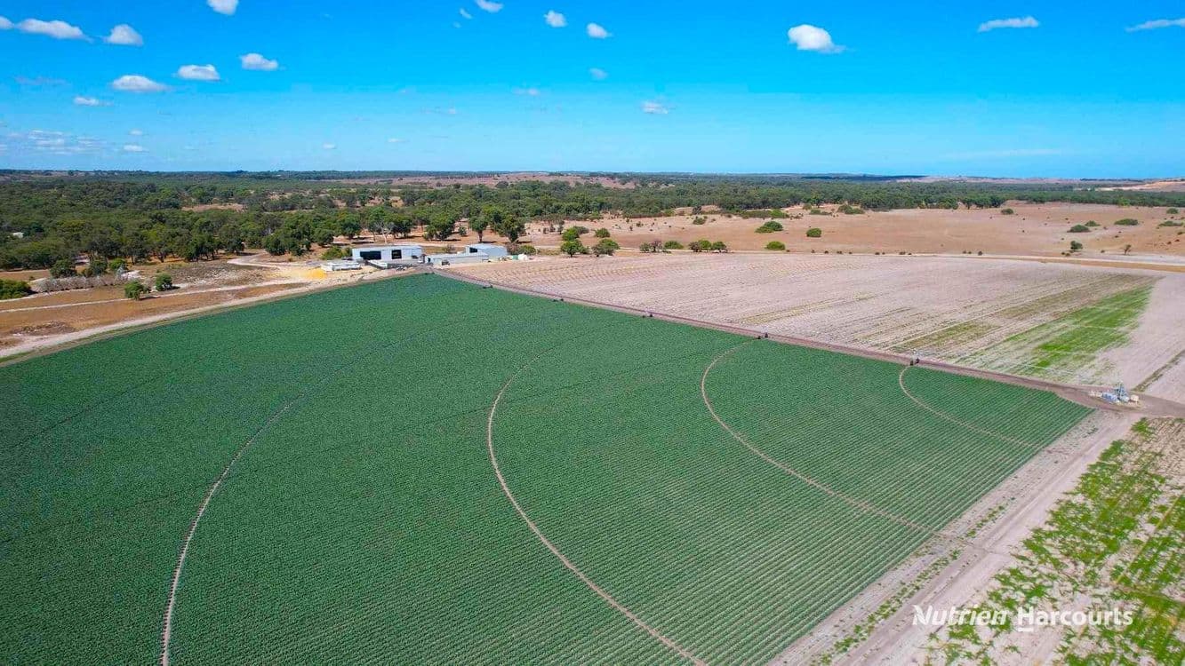 Lot 91 Glenrowan Road, GABBADAH, WA 6041, Gabbadah - Thumbnail 4
