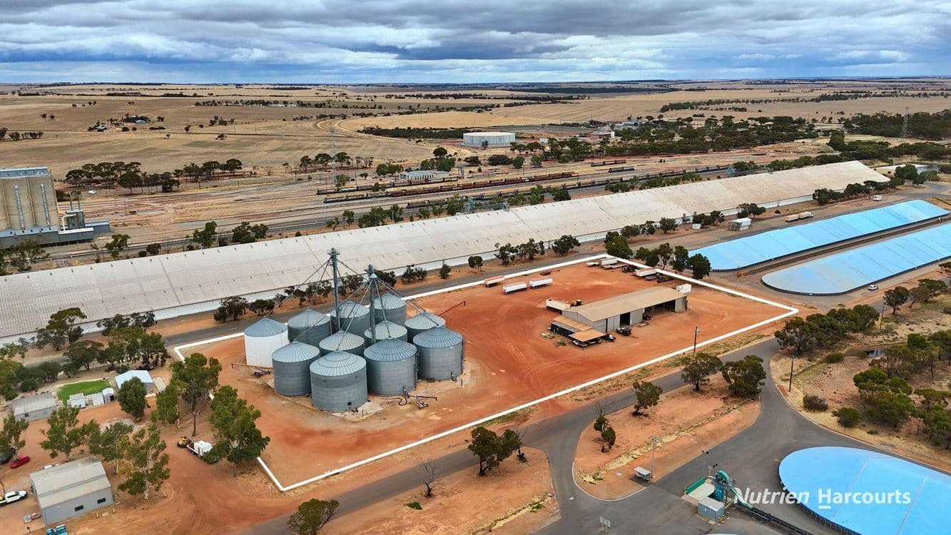 Lot 8 Gabo Avenue, MERREDIN, WA 6415, Merredin - Image 1