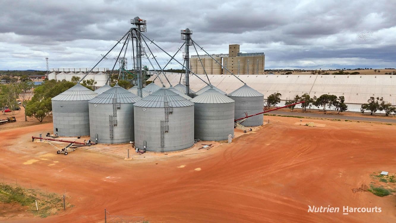 Lot 8 Gabo Avenue, MERREDIN, WA 6415, Merredin - Thumbnail 2