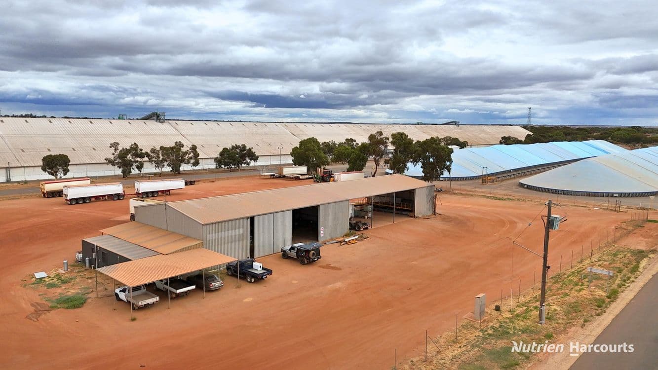 Lot 8 Gabo Avenue, MERREDIN, WA 6415, Merredin - Thumbnail 3