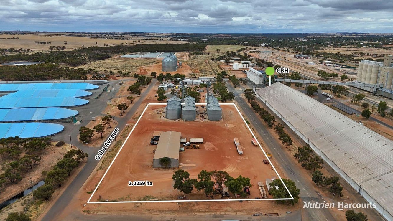 Lot 8 Gabo Avenue, MERREDIN, WA 6415, Merredin - Thumbnail 4