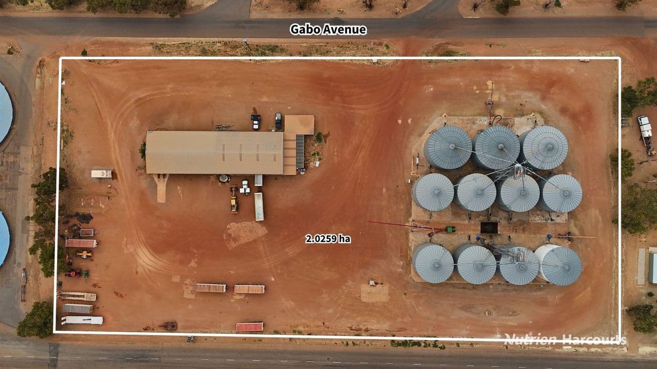 Lot 8 Gabo Avenue, MERREDIN, WA 6415, Merredin - Thumbnail 5