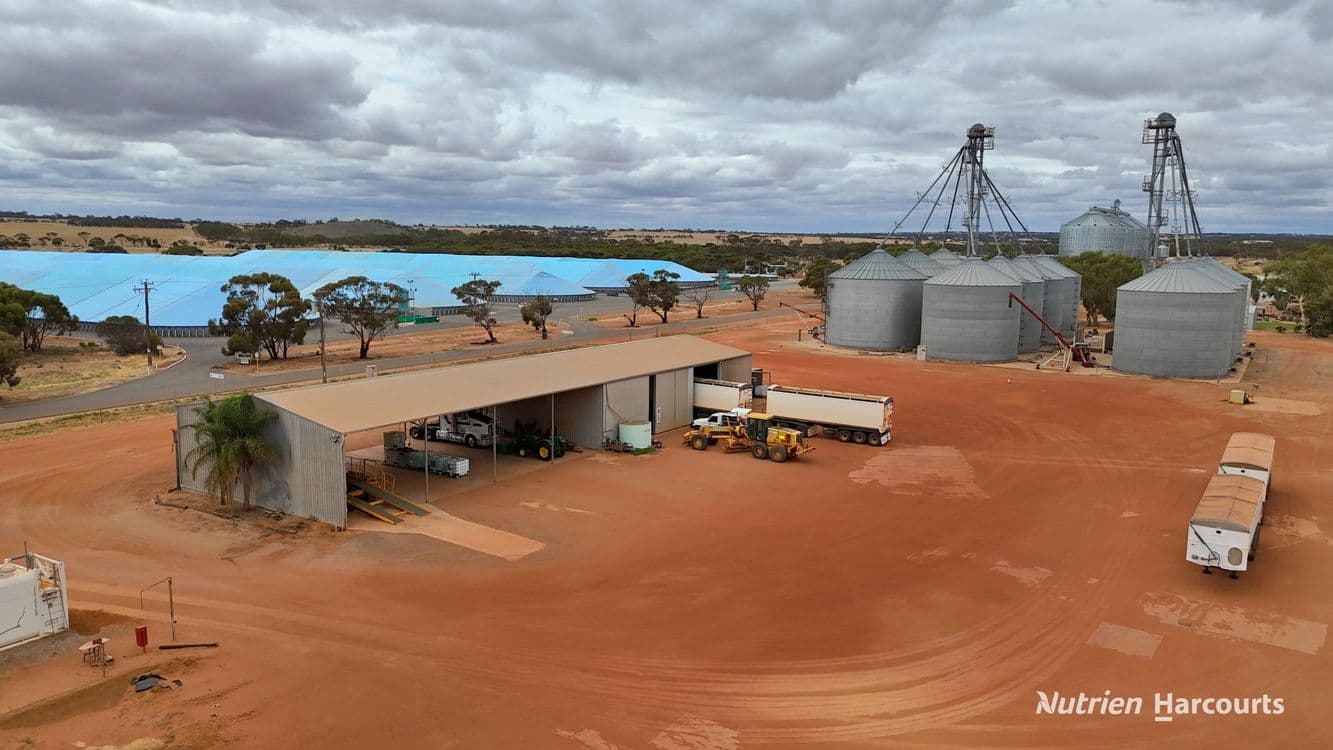 Lot 8 Gabo Avenue, MERREDIN, WA 6415, Merredin - Thumbnail 6
