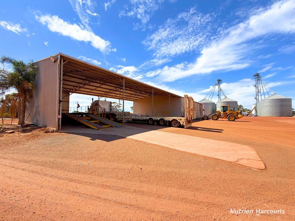 Lot 8 Gabo Avenue, MERREDIN, WA 6415, Merredin - Thumbnail 7