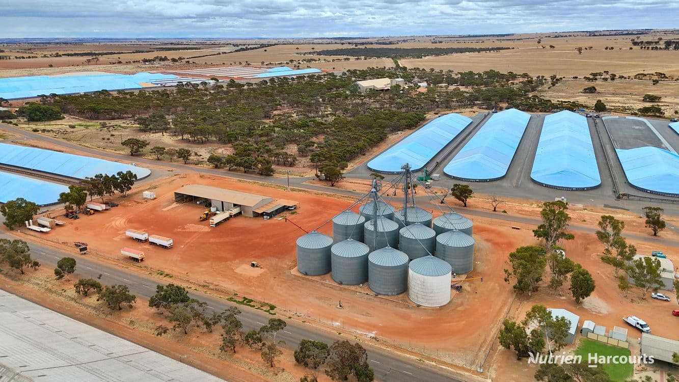 Lot 8 Gabo Avenue, MERREDIN, WA 6415, Merredin - Thumbnail 8