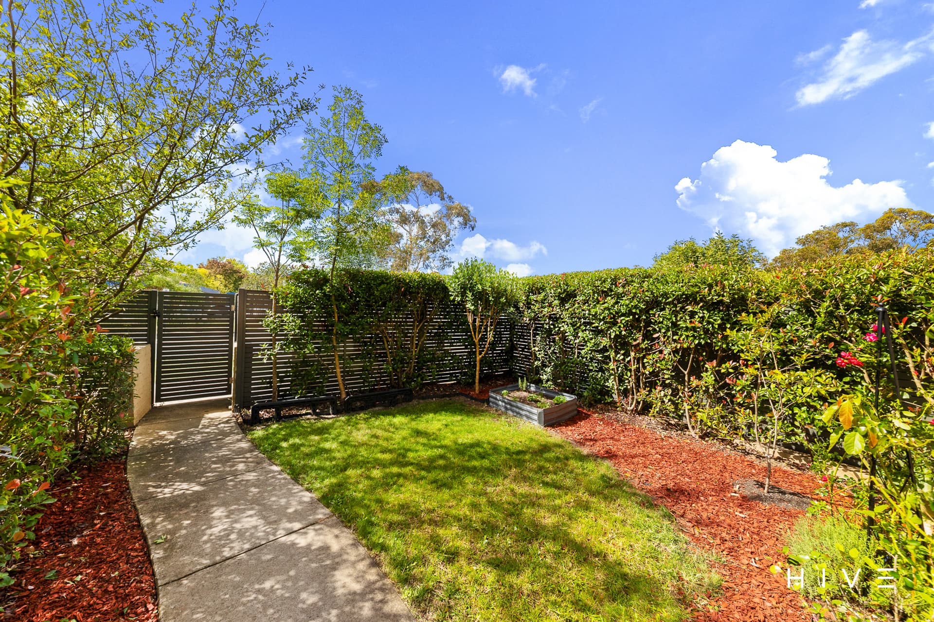 1/51 Ainsworth Street, Mawson, Mawson - Thumbnail 5