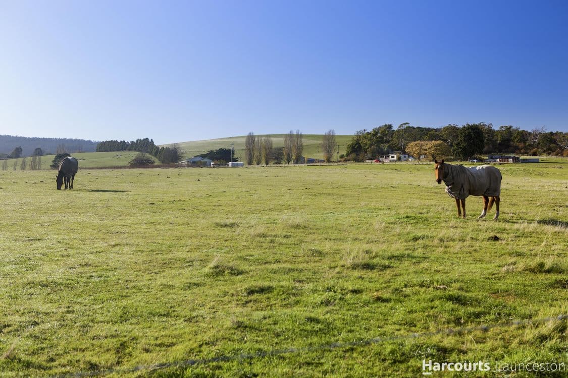 106/Stage 4 Cedar Grove Estate, ST LEONARDS, TAS 7250, St Leonards - Thumbnail 5