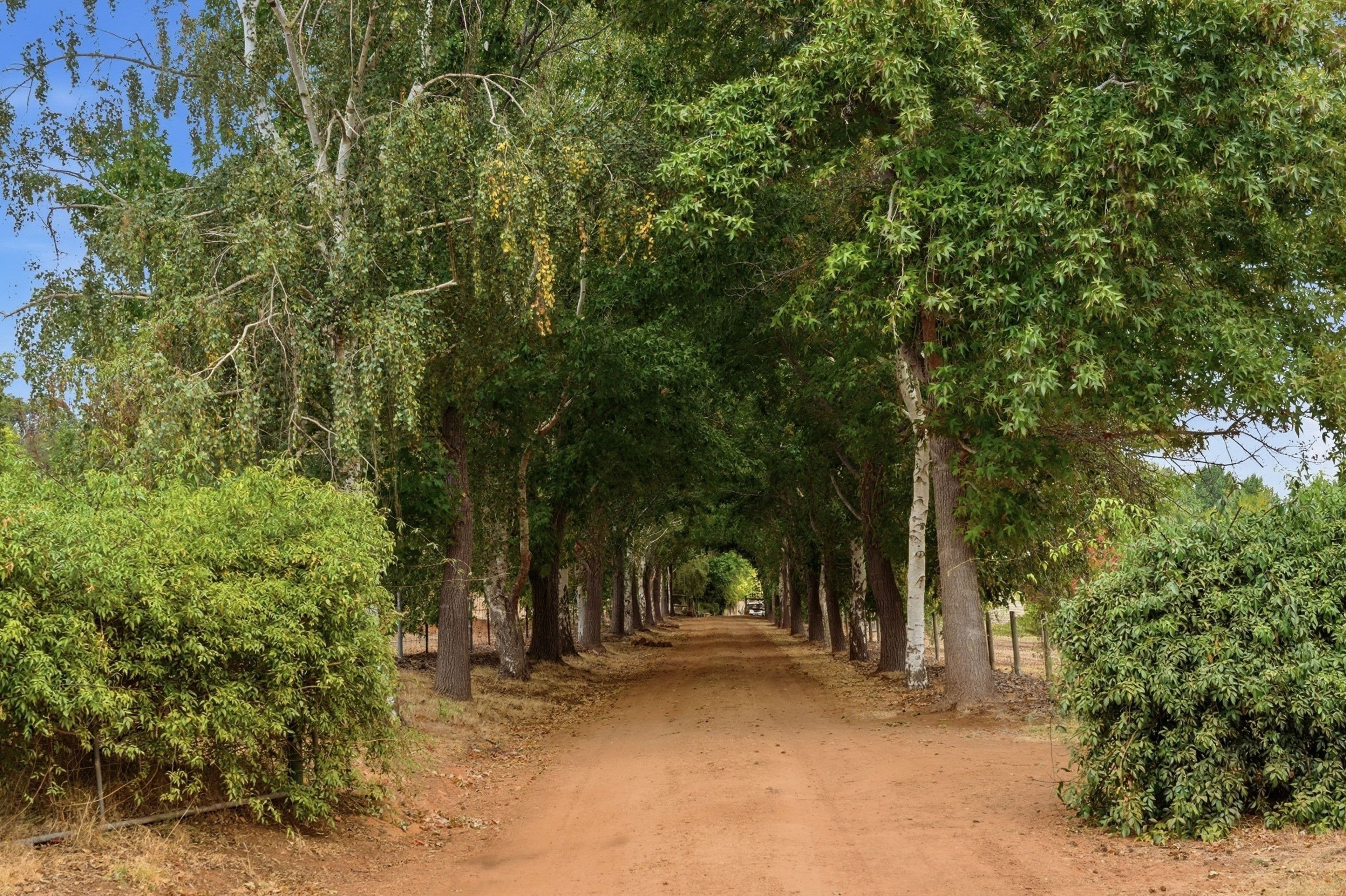 104 Grimwade Road, Balingup WA 6253, Balingup - Thumbnail 4
