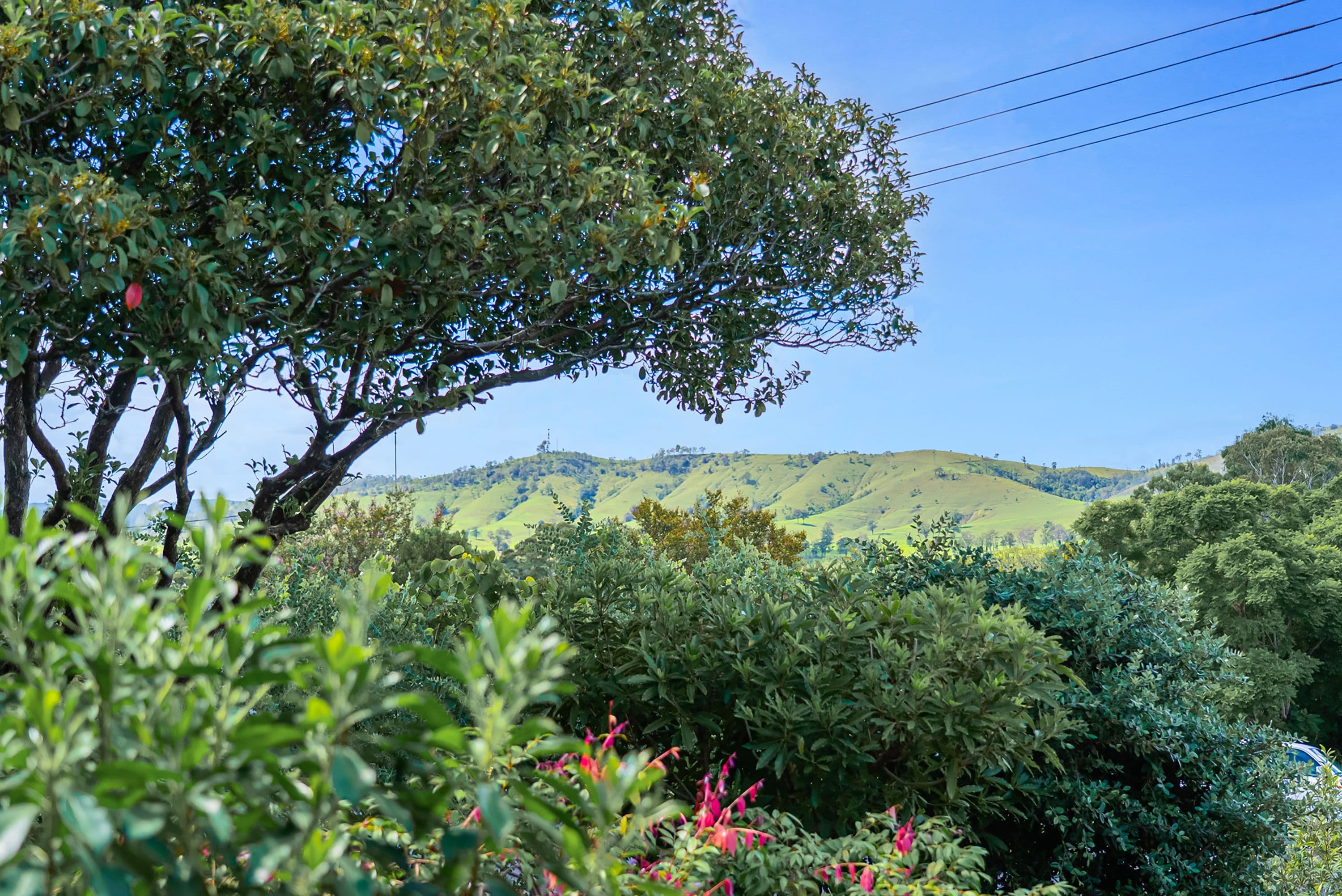 36 Lord Street, Dungog NSW 2420, Dungog - Thumbnail 4