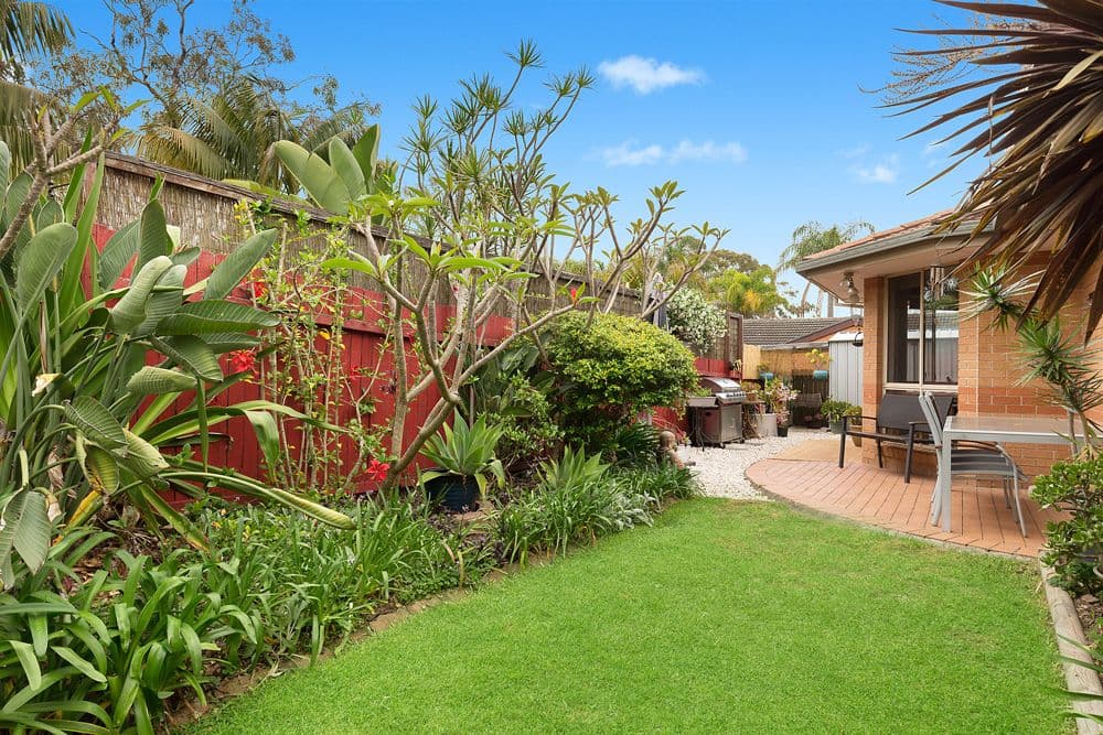 22 Darley Street, Forestville, Forestville - Thumbnail 5