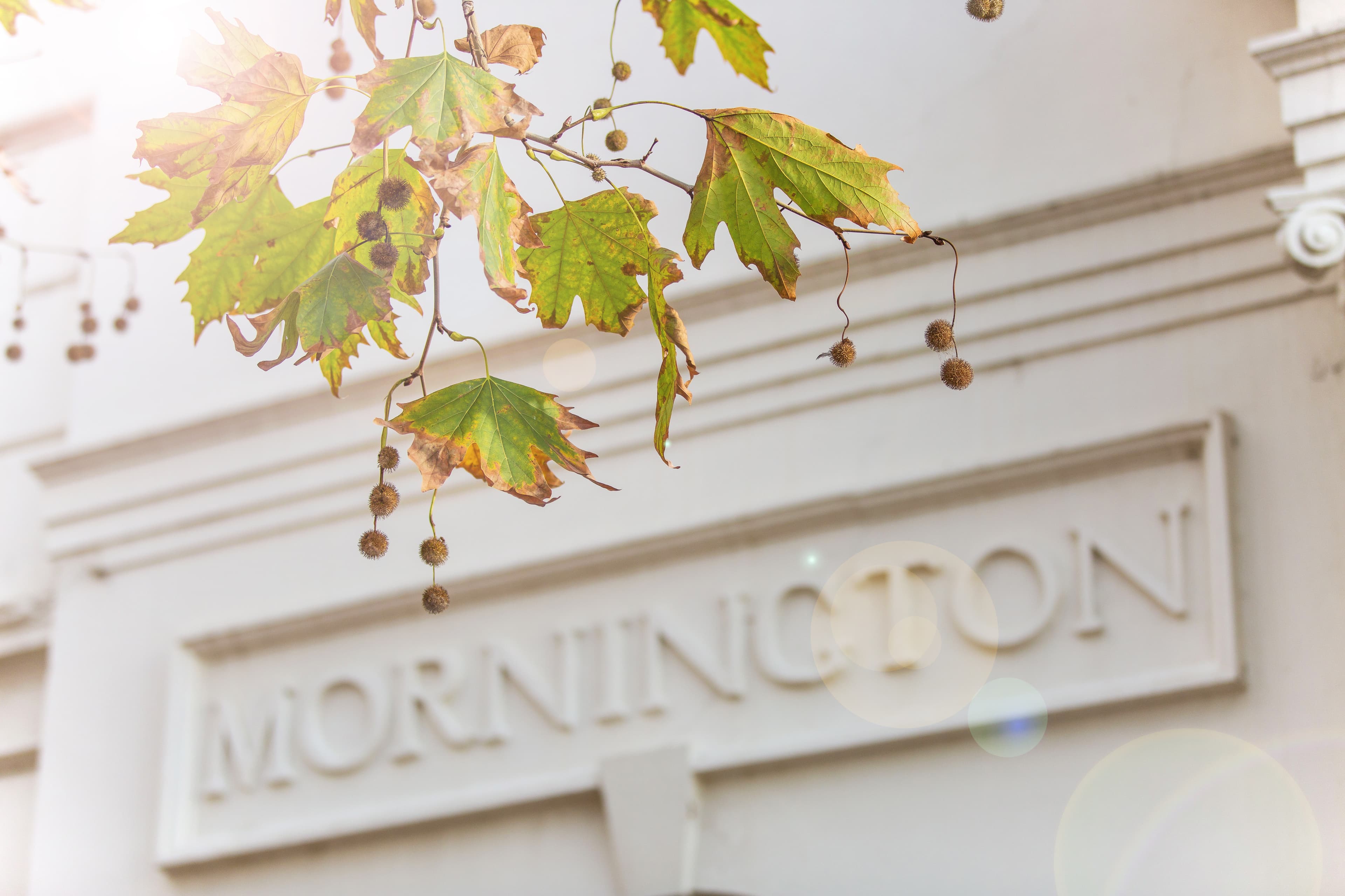 1/23 Carnoustie Grove, Mornington, Mornington - Thumbnail 2
