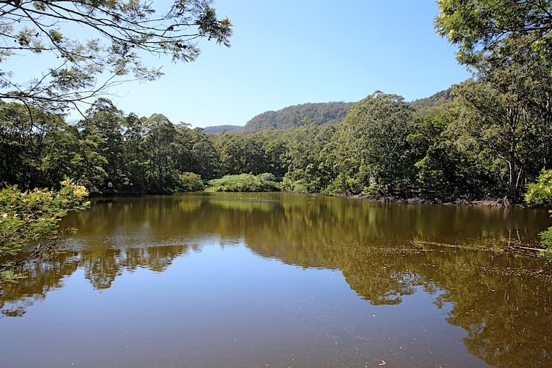 531 Mount Scanzi Road, Kangaroo Valley, Kangaroo Valley - Thumbnail 2