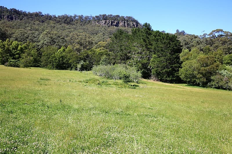 531 Mount Scanzi Road, Kangaroo Valley, Kangaroo Valley - Thumbnail 6
