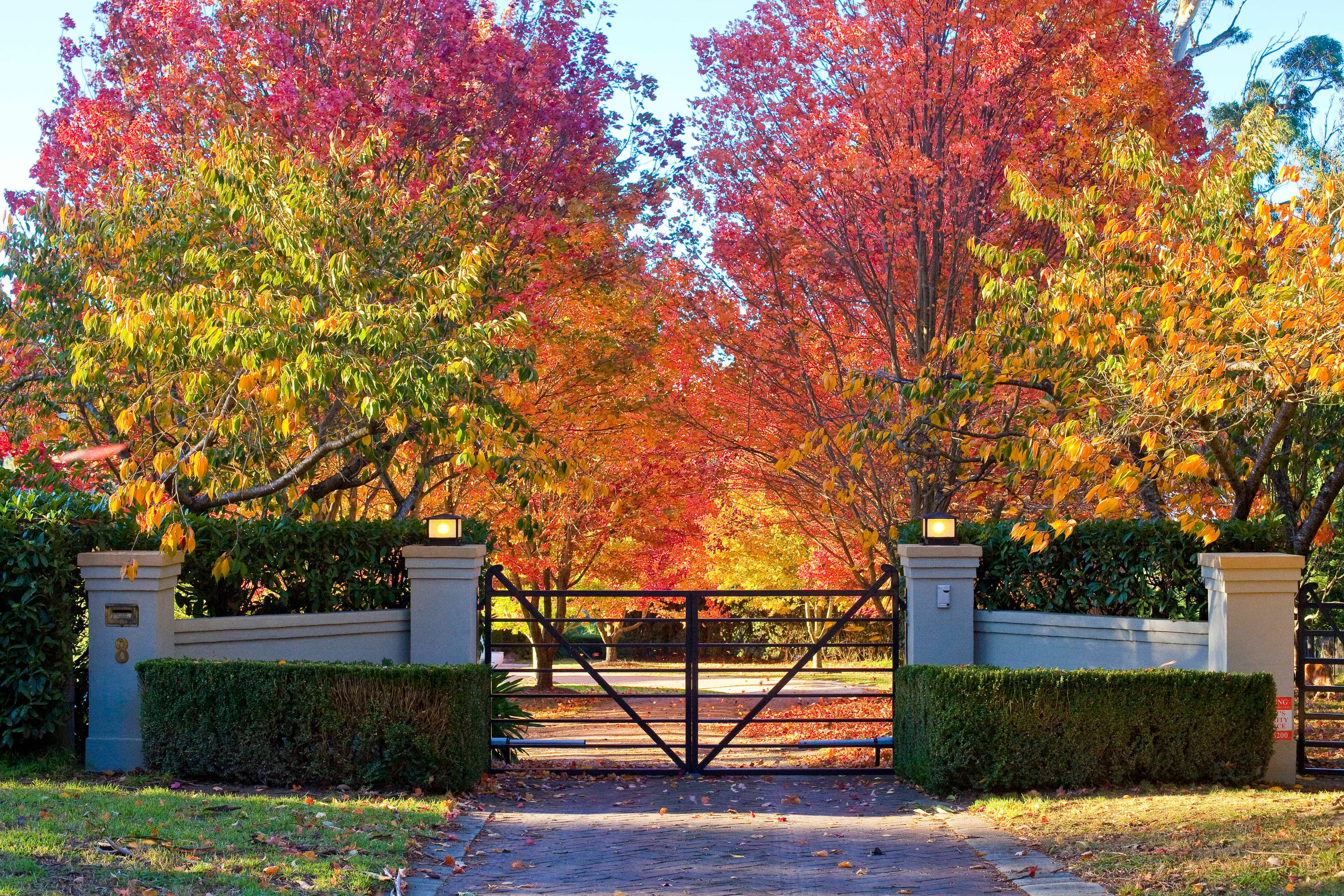 8 Harley Street, Bowral, NSW, 2576, Bowral - Image 1