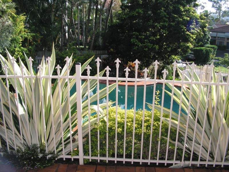 4 Chico Place, McDowall, Clovelly - Thumbnail 4