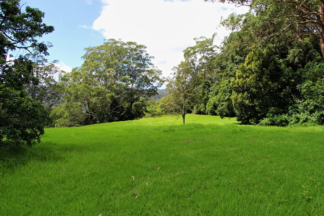 50C Keoghs Road, Kangaroo Valley, Kangaroo Valley - Thumbnail 7