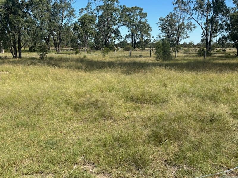 47 Montrose Road, Montrose QLD 4413, Montrose - Thumbnail 3