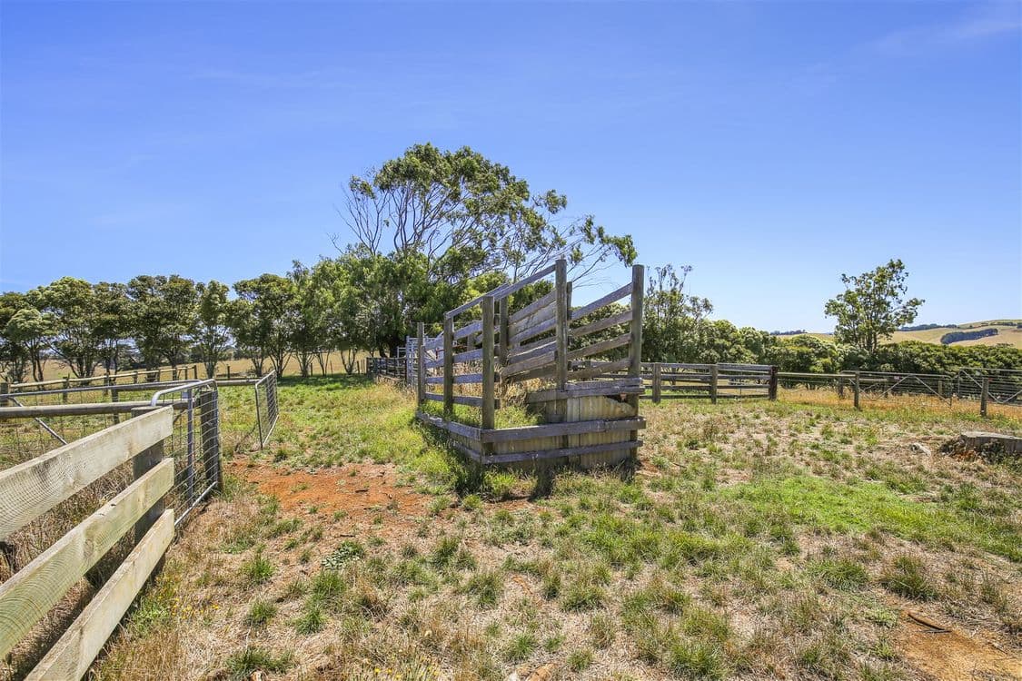 97 Toomeys Creek Road, Mardan, VIC 3953, Mardan - Thumbnail 2