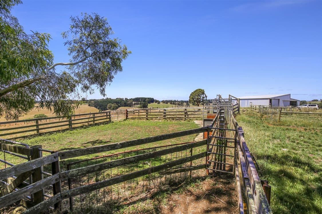 97 Toomeys Creek Road, Mardan, VIC 3953, Mardan - Thumbnail 3