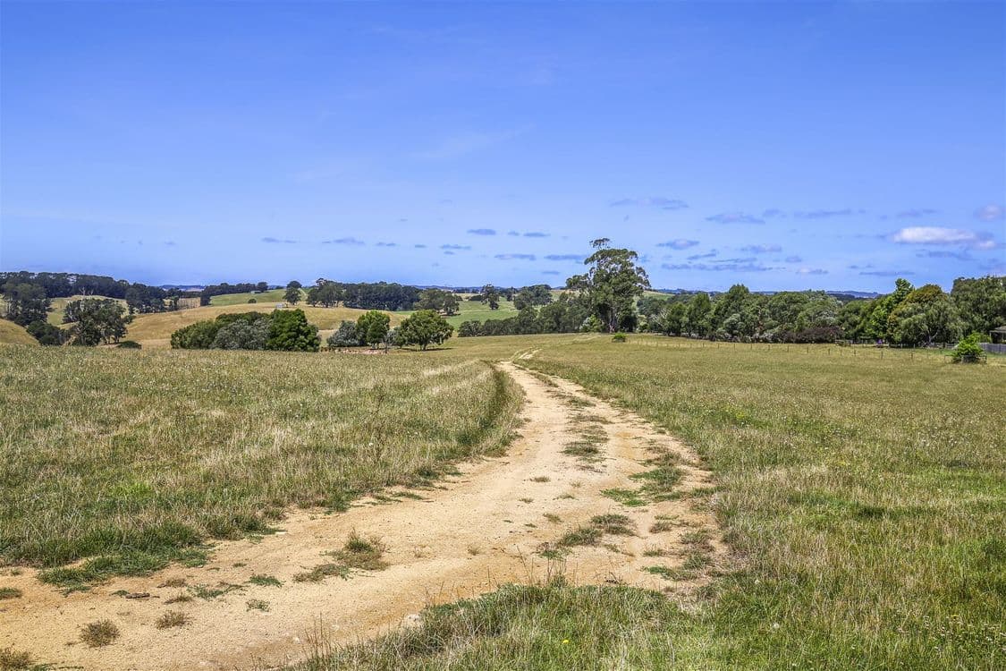 97 Toomeys Creek Road, Mardan, VIC 3953, Mardan - Thumbnail 5