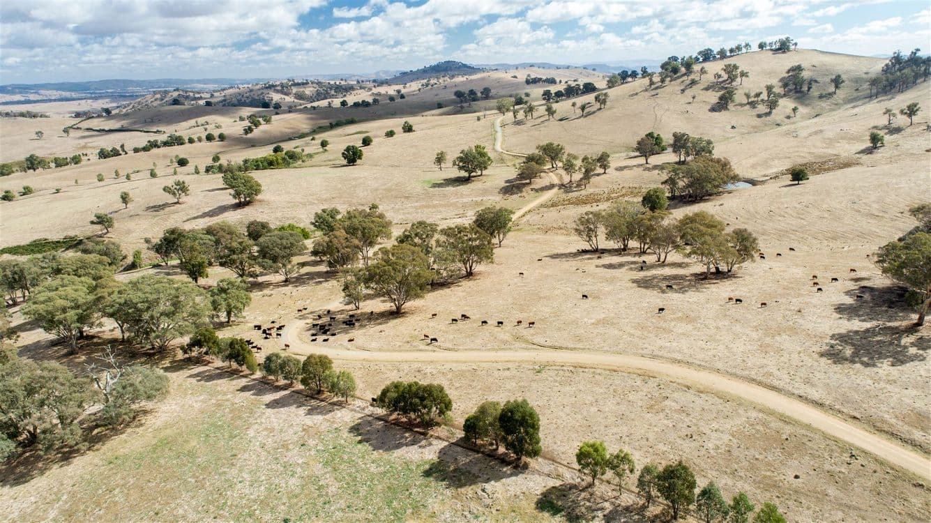 Sharps Creek, Sharps Creek Rd via, Adelong, NSW 2729, Sharps Creek Rd Via - Thumbnail 2