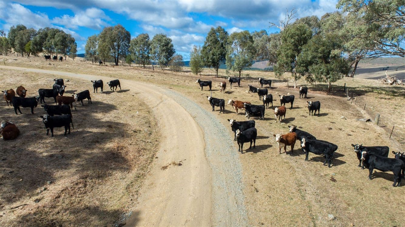 Sharps Creek, Sharps Creek Rd via, Adelong, NSW 2729, Sharps Creek Rd Via - Thumbnail 4