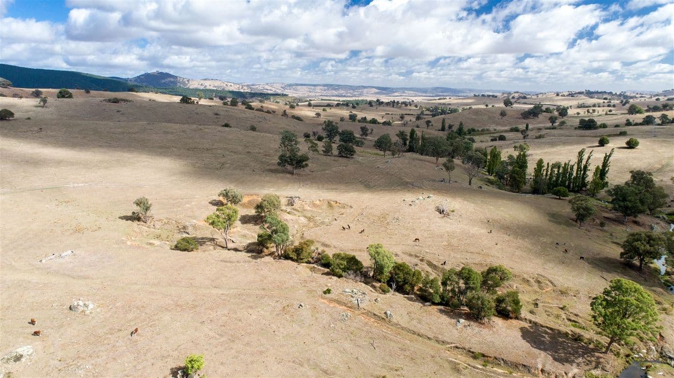 Sharps Creek, Sharps Creek Rd via, Adelong, NSW 2729, Sharps Creek Rd Via - Thumbnail 5