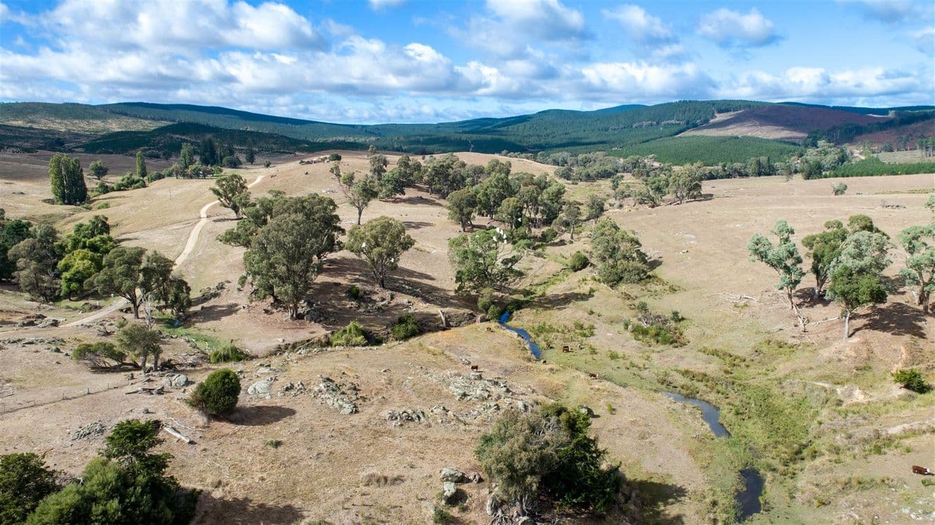 Sharps Creek, Sharps Creek Rd via, Adelong, NSW 2729, Sharps Creek Rd Via - Thumbnail 6