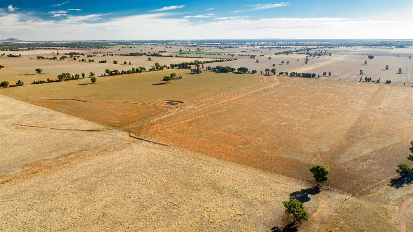 Rathmount Cobdens Rd, Wagga Wagga, NSW 2650, Wagga Wagga - Thumbnail 3