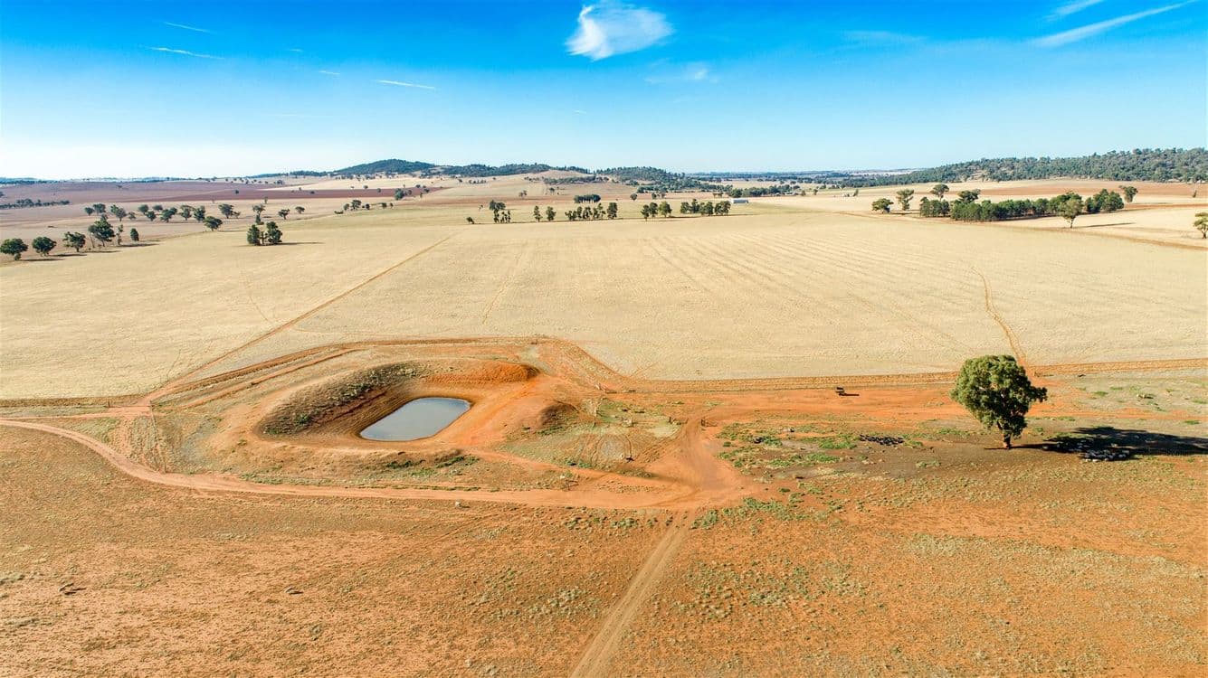 Rathmount Cobdens Rd, Wagga Wagga, NSW 2650, Wagga Wagga - Thumbnail 6