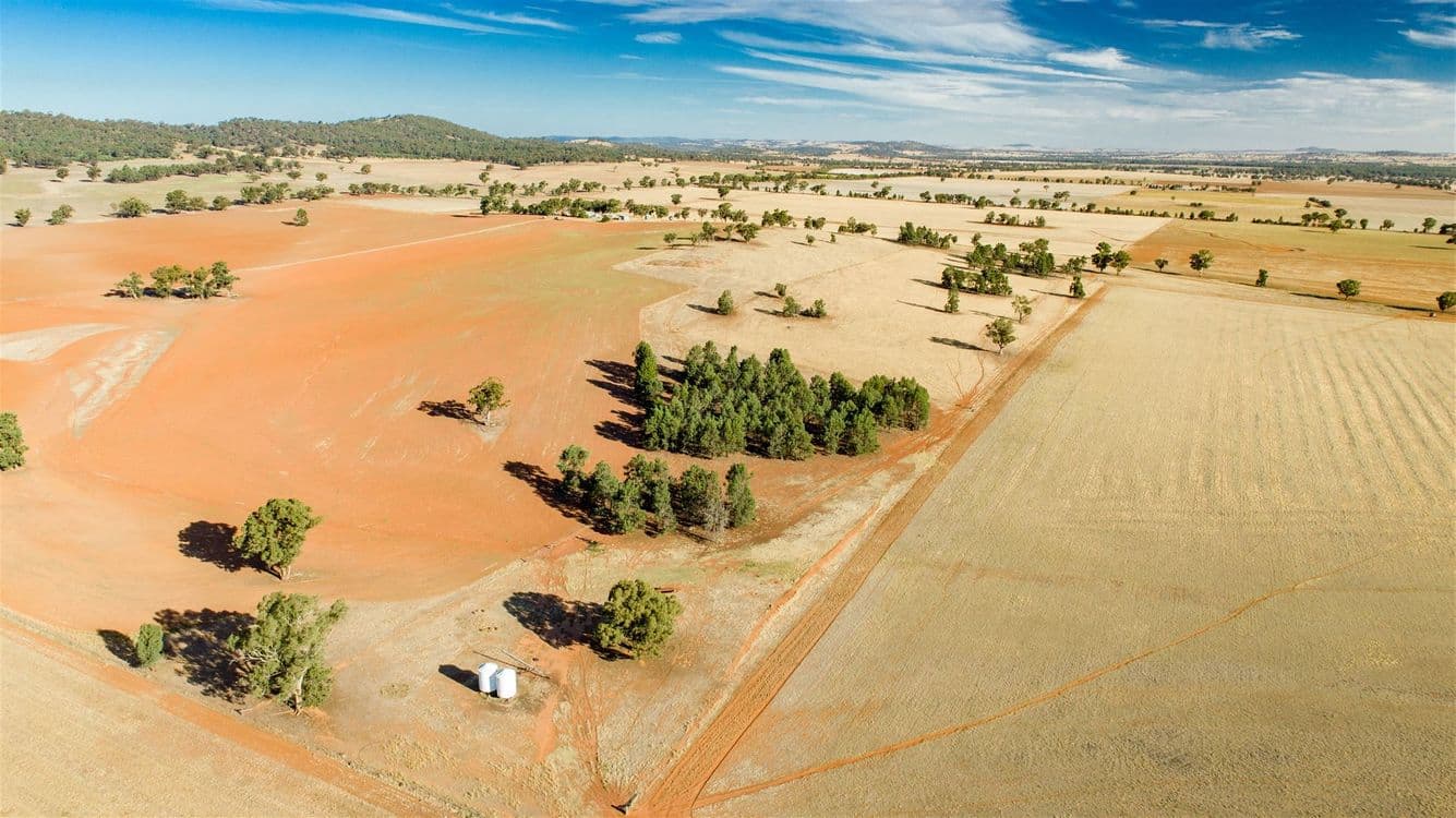 Rathmount Cobdens Rd, Wagga Wagga, NSW 2650, Wagga Wagga - Thumbnail 7