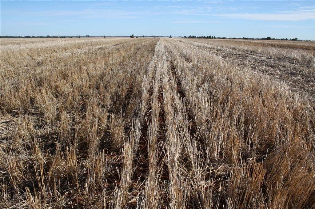 4978 Mitchell Highway, Narromine, NSW 2821, Narromine - Thumbnail 2