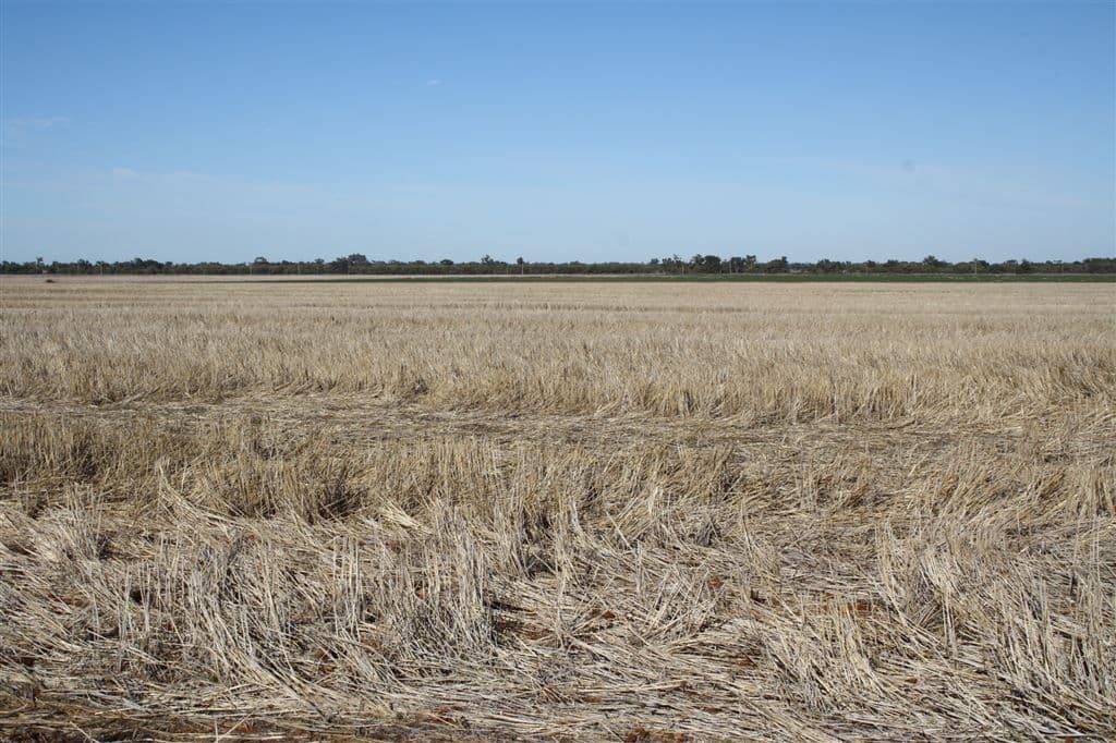 4978 Mitchell Highway, Narromine, NSW 2821, Narromine - Thumbnail 4