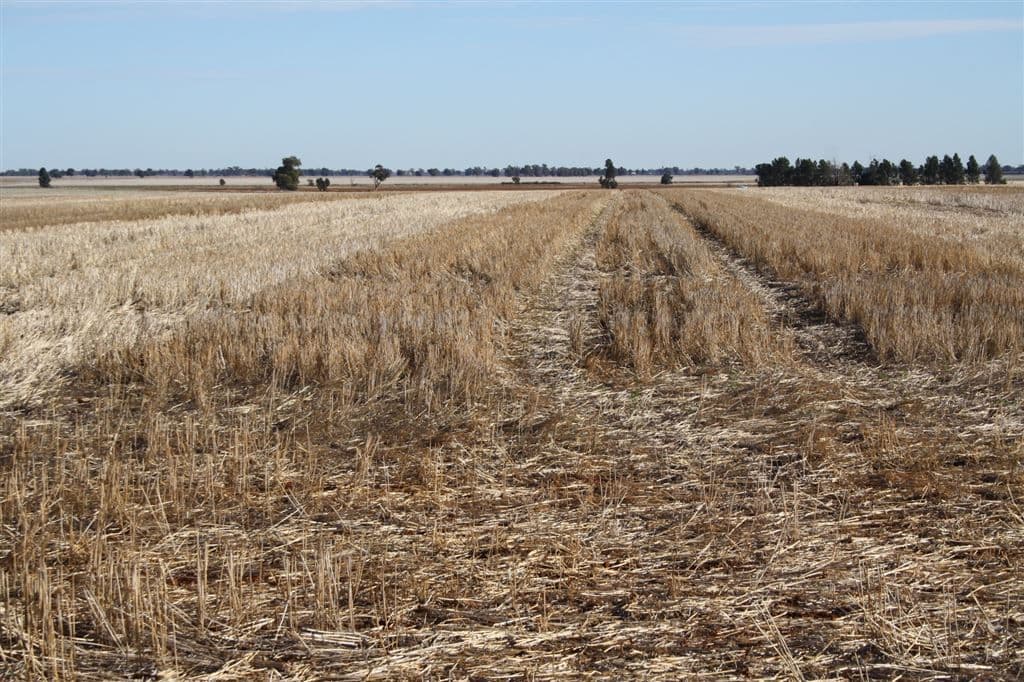 4978 Mitchell Highway, Narromine, NSW 2821, Narromine - Thumbnail 5