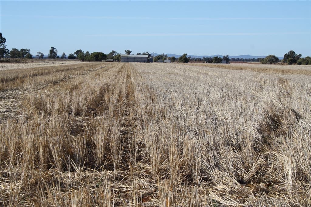 4978 Mitchell Highway, Narromine, NSW 2821, Narromine - Thumbnail 6