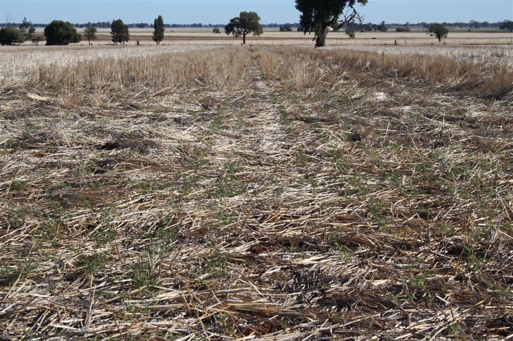 4978 Mitchell Highway, Narromine, NSW 2821, Narromine - Thumbnail 7