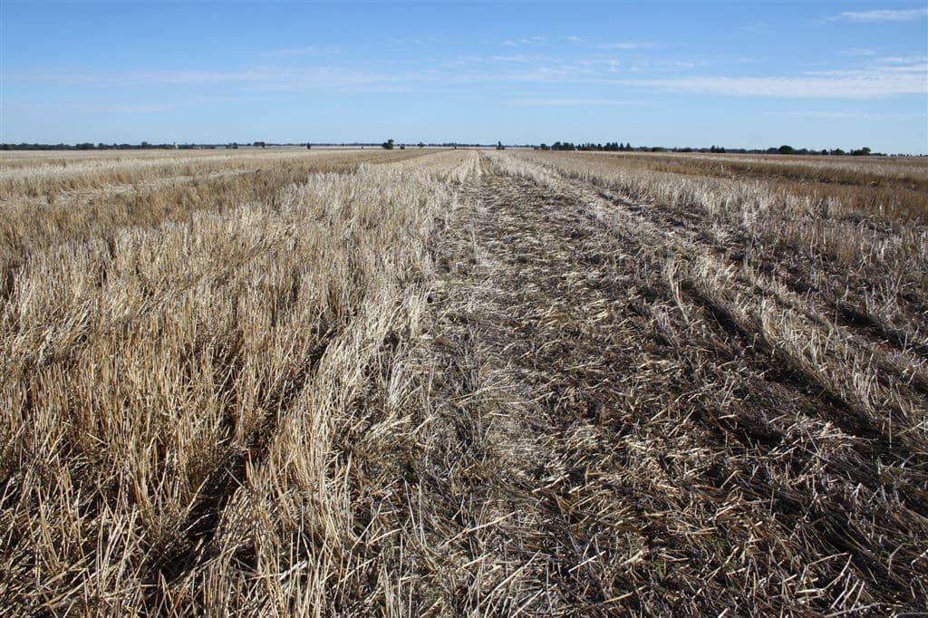 4978 Mitchell Highway, Narromine, NSW 2821, Narromine - Thumbnail 8