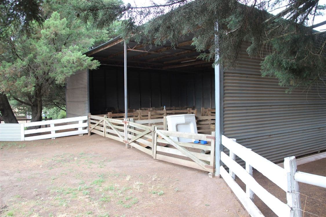 189 Myrniong-Korobeit Road, Myrniong, VIC 3341, Myrniong - Thumbnail 7