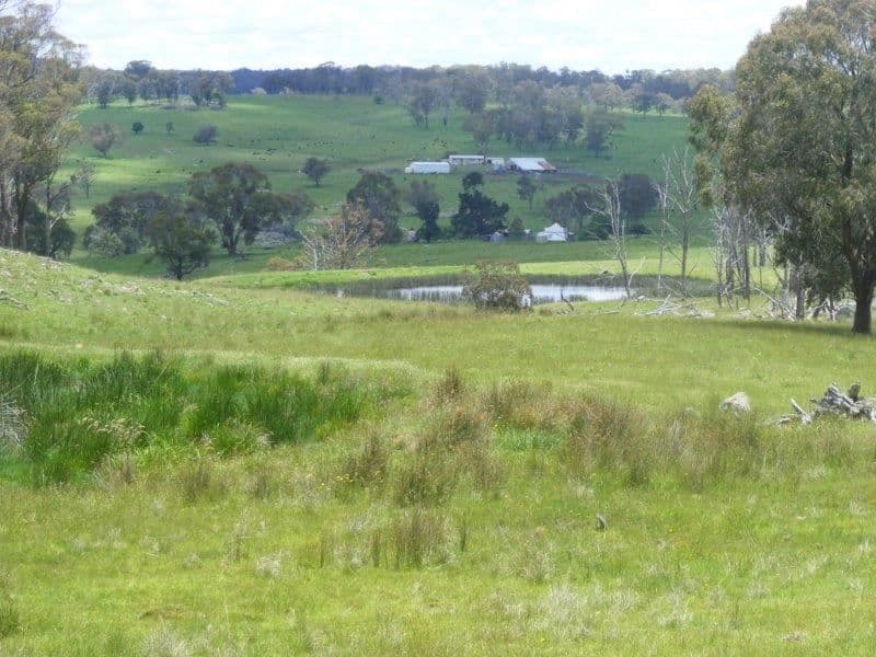 "Mt Slow"/1057 Mount Slow Road, Glencoe, NSW 2365, Glencoe - Thumbnail 4