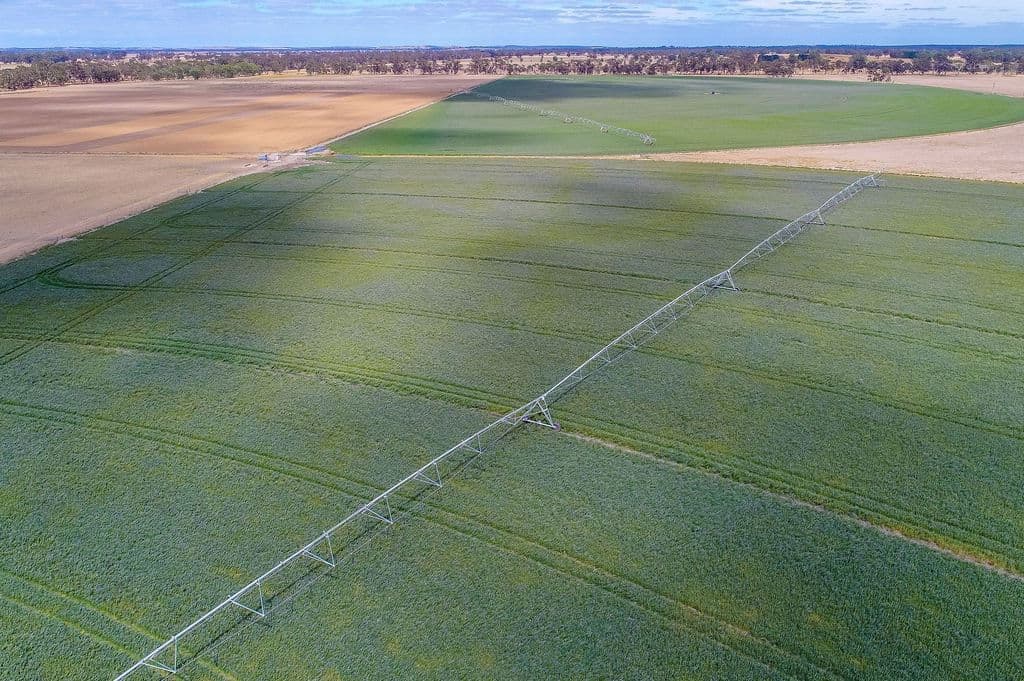 69 Darcy Kings Road, Bordertown, SA 5268, Bordertown - Thumbnail 4