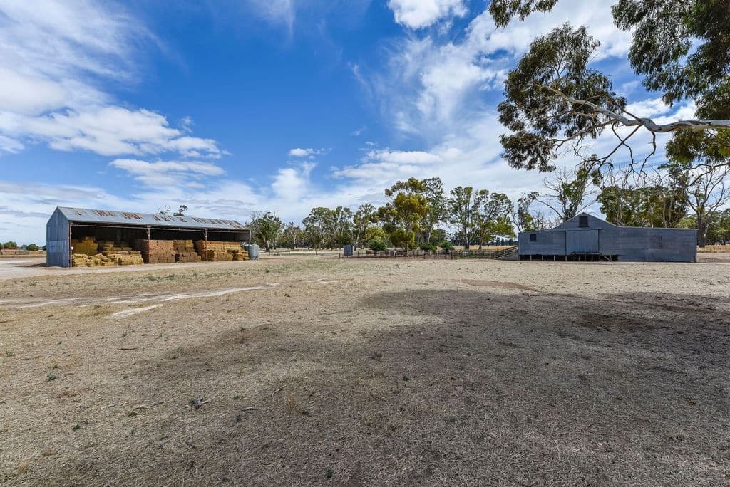 69 Darcy Kings Road, Bordertown, SA 5268, Bordertown - Thumbnail 7