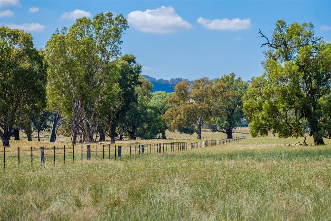 "Hillview"/186 Wagga Road, Holbrook, NSW 2644, Holbrook - Image 1
