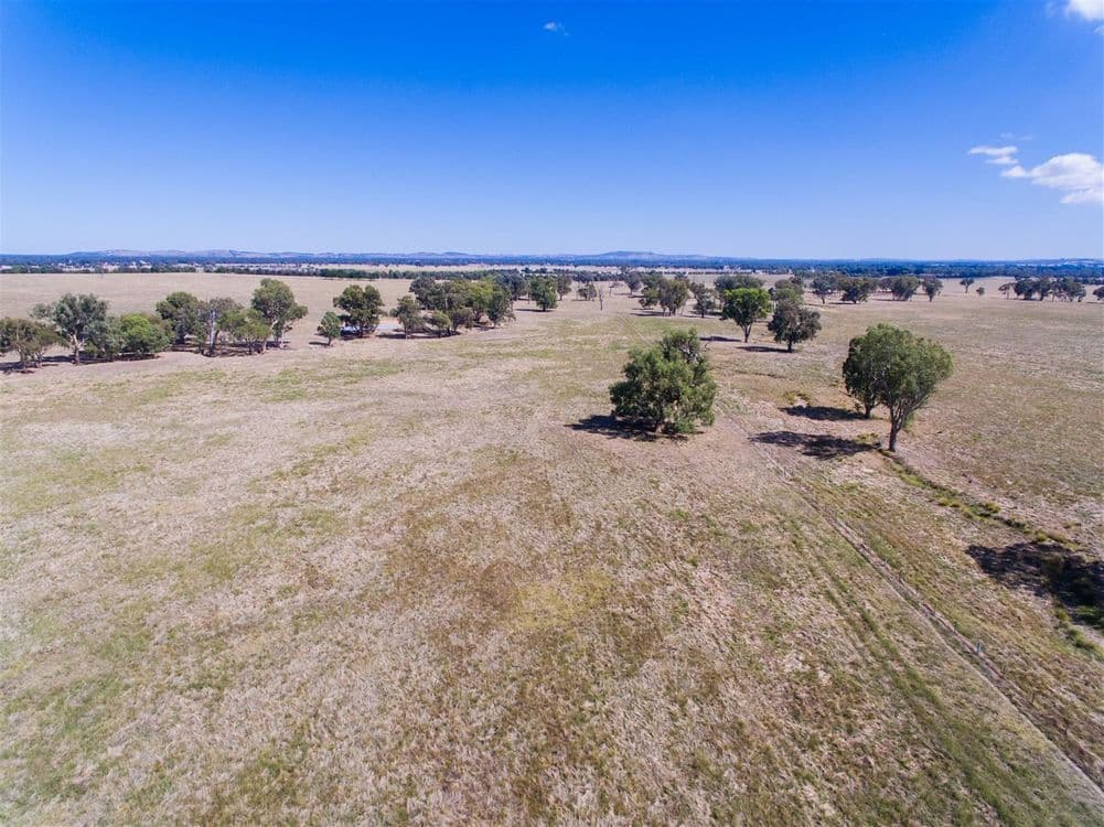 "Hillview"/186 Wagga Road, Holbrook, NSW 2644, Holbrook - Thumbnail 2