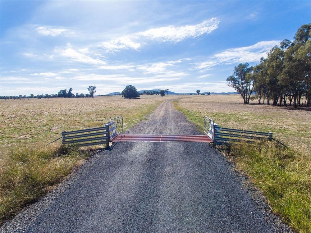 "Hillview"/186 Wagga Road, Holbrook, NSW 2644, Holbrook - Thumbnail 4