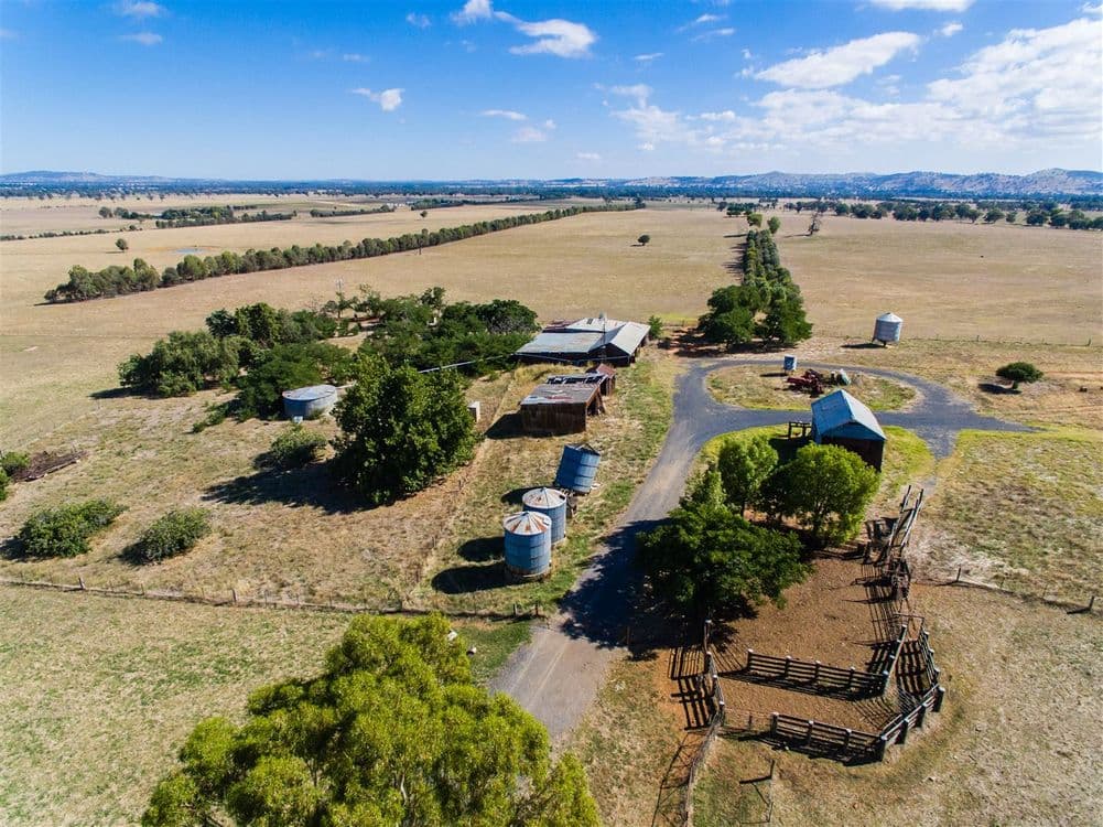 "Hillview"/186 Wagga Road, Holbrook, NSW 2644, Holbrook - Thumbnail 5