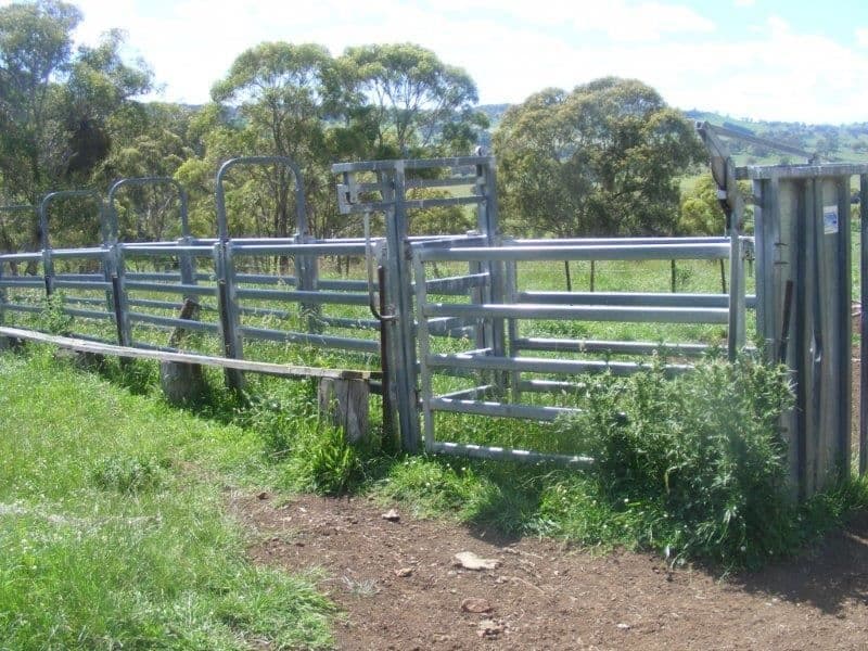 BeardyView/987 Haymarket Road, Glen Innes, NSW 2370, Glen Innes - Thumbnail 5