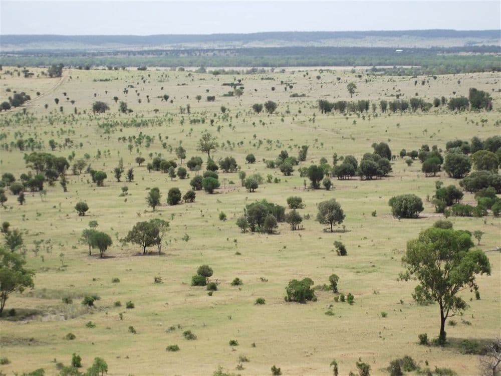 . Two Up, Taroom, QLD 4420, Taroom - Image 1